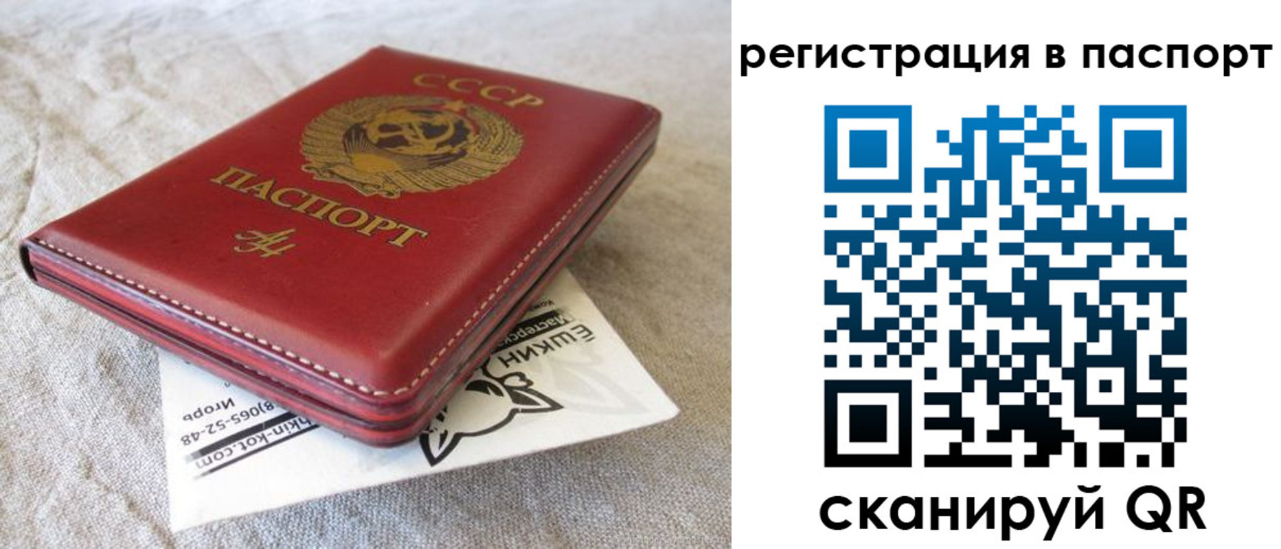 где прописаться в Воронежской области